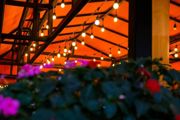 Bela Natureza Borrada Fundo Com Flores Coloridas Noite Aconchegante Café — Fotografia de Stock