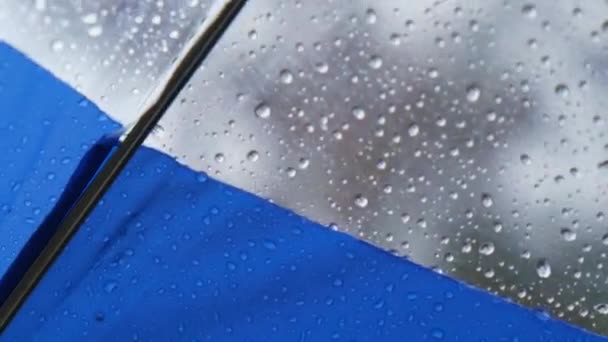 Close up Transparent Umbrella with water drops during the rain with green orange leaves tree on the blur autumn background. Rainy weather at fall season — Stock Video