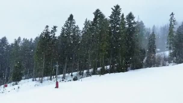 Caduta Neve Tra Pini Durante Pesanti Nevicate Inverno Fitta Foresta — Video Stock
