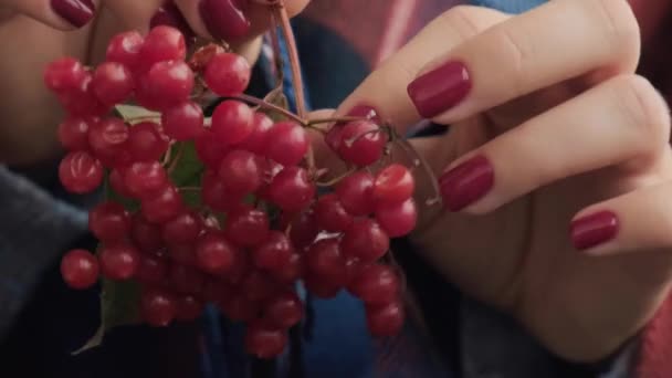 Stijlvolle Rode Vrouwelijke Nagels Handen Die Rode Bessen Vasthouden Modern — Stockvideo