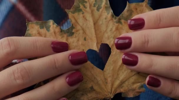 Stylish Red Female Nails Fall Leaf Hole Heart Shape Hands — Stock Video