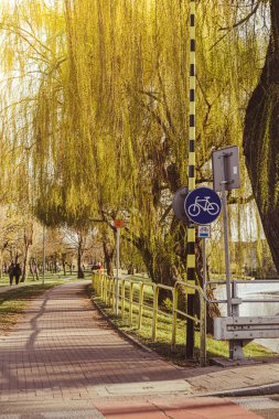 Parktaki boş bisiklet yolu. Konforlu parkta bisiklet yolu. Gölün yanındaki bisiklet için boş bisiklet yolu. Yol tabelası. Açık hava konseptinde eğlence. Pruszcz Gdanski Polonya 'da aktif zaman sporu