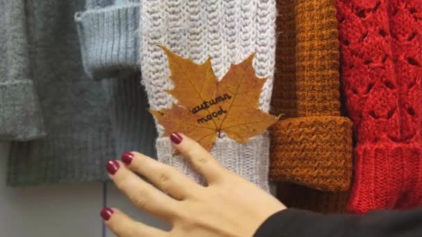 秋天的概念 雌性手把枫叶与文字Autumn Mood放在舒适温暖的毛衣上 针织羊毛衫和马海毛毛衣 英格丽风格的服装选择 — 图库视频影像