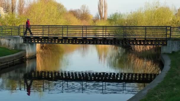 認識できない人は 川の鏡の水の橋の反射を通過する 自然を背景に 公園内の川に架かる橋は緑の木々に囲まれ 水面に映る — ストック動画