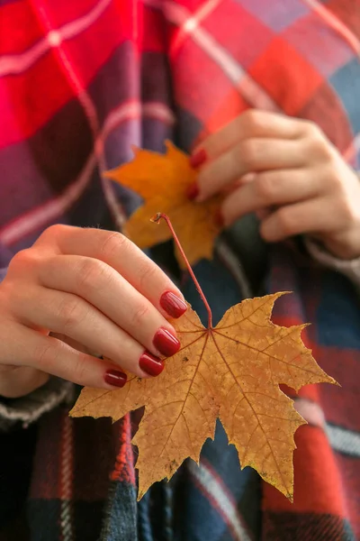 Stylowe Czerwone Żeńskie Paznokcie Upadek Liści Rękach Nowoczesny Piękny Manicure — Zdjęcie stockowe