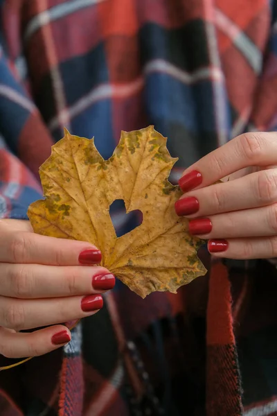 Clavos Femeninos Rojos Con Estilo Hoja Otoño Con Agujero Forma — Foto de Stock