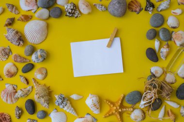 Fotokopi alanı, deniz kabukları, çakıl taşları, sarı arka plan için kompozisyon çerçevesi. Boşluk, üst görünüm, durgun hayat, düzlük. Deniz seyahati konsepti turizm ve tatil beldeleri. Yaz tatili