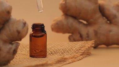Esaslı zencefil yağı damlayan cam pipet, bej arka planda zencefil kökü. Sağlıklı alternatif yaşam. Zingiber officinale Earth ses tonları Aromaterapi, spa ve bitkisel ilaç malzemeleri. & Aç