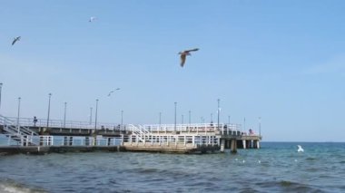 Sopot Molo iskelesi Avrupa 'nın en uzun iskelesi. Baltık Denizi ve Güneş. Baltık Denizi sahillerinde uçan martılar yiyecek arıyorlar. Gdansk seyahat rotası. Tatil tatili