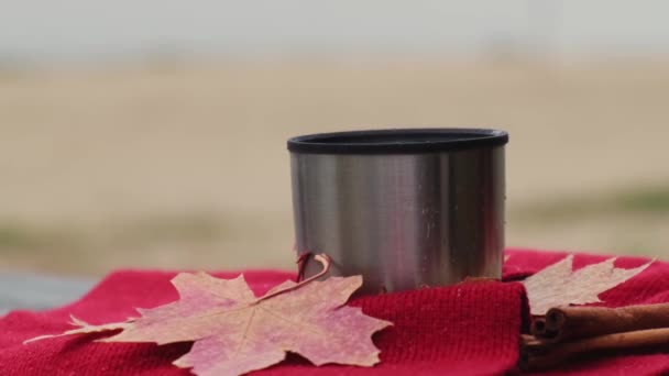 Woman Drinking Hot Tea Pouring Thermo Cup Outdoors Autumn Park — Wideo stockowe