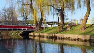 Güneşli bahar mevsiminde şehir parkı. Nehir yansımaları, ağaçlar ve yeşil çimlerle dolu bir park. Yürüyüş ve açık hava eğlencesi için peyzaj alanı. Doğayla birlik. Polonya doğası 4k