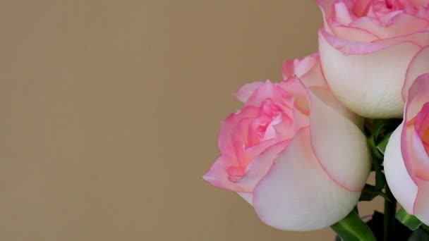 米色背景的花瓶上有精致的粉红色玫瑰 深度阴影最小的构图 抽象的艺术思想 浪漫的粉红玫瑰花 现代美学 中性的大地色调 创意贺卡 — 图库视频影像