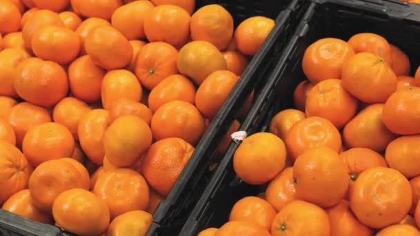 4K超级市场水果系列展示会 食品销售 新鲜的橙子 橘子和柠檬储存在货架上 异国情调成熟和健康的水果 超级市场采购的概念 — 图库视频影像