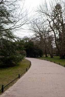 Sonbahar mevsiminde bulutlu bir günde parkta boş bir ahşap bank. Olivia Parkı, Gdansk Polonya 'da. Kenar mahalleleri manzaralı şehir parkı. Yol boyunca sokak lambaları olan şehir bahçesi