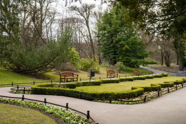 Sonbahar mevsiminde bulutlu bir günde parkta boş bir ahşap bank. Olivia Parkı, Gdansk Polonya 'da. Kenar mahalleleri manzaralı şehir parkı. Yol boyunca sokak lambaları olan şehir bahçesi