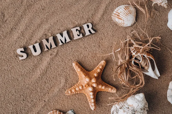 Komposition Mit Text Sommer Muscheln Kieselsteine Attrappe Auf Sandgrund Blanko — Stockfoto