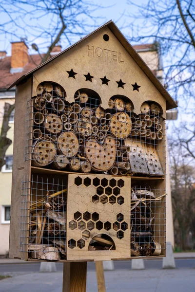 View to an insect house in the garden, protection for insects, named insect hotel in city centre. Taking care of nature Climate change issue