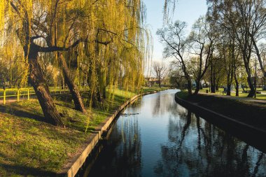 Güneşli bahar mevsiminde şehir parkı. Nehir yansımaları, ağaçlar ve yeşil çimlerle dolu bir park. Yürüyüş ve açık hava eğlencesi için peyzaj alanı. Doğayla birlik. Doğa geçmişi Polonya, Pruszcz