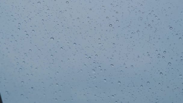 Закрыть Прозрачный Зонтик Капельками Воды Время Дождя Зелеными Оранжевыми Листьями — стоковое видео