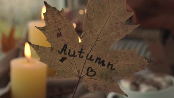 Hoja Arce Otoño Con Texto Autumn Manos Del Concepto Diseño — Vídeo de stock