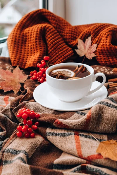 Autumn mood concept. Hot tea with lemon and cinnamon sticks on cozy sweater scarf background. Fall leaves and berries composition still life. Cup of mulled wine. Tea Time. Festive mood atmosphere home