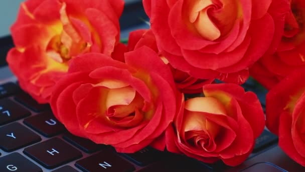 Bouquet Red Roses Decorated Hat Box Laptop Keyboard Background Tied — Αρχείο Βίντεο