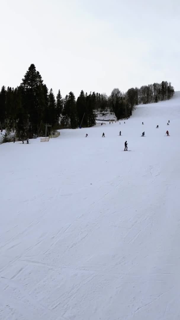 Vertical Footage Skiers Skiing Downhill Winter Resort Mountains Aerial Top — Vídeo de Stock