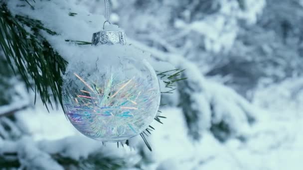 Transparent Trendigt Glas Julboll Snöiga Gren Firar Vinterskogen Vinter Semester — Stockvideo