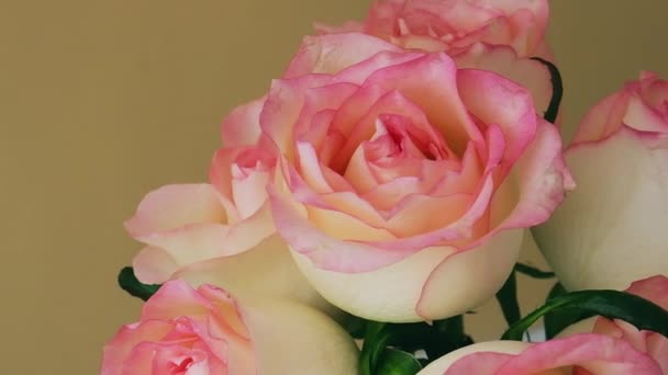 Zarte Rosa Rose Auf Vase Auf Beigem Hintergrund Tiefe Schatten — Stockvideo