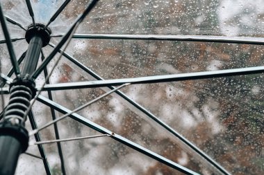 Şeffaf Şemsiye 'yi yağmur sırasında damlalarla kapatın. Sonbahar arkaplanındaki yeşil portakal yapraklarıyla. Sonbahar mevsiminde yağmur yağar. Fırtına kalabalığı