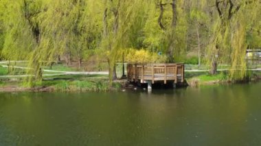 Beautiful spring alcove on lake and forest. Nature in spring. Reflection of trees in the water. Abstract natural background. Blurry silhouettes of many green spring trees, leaves reflect on peaceful