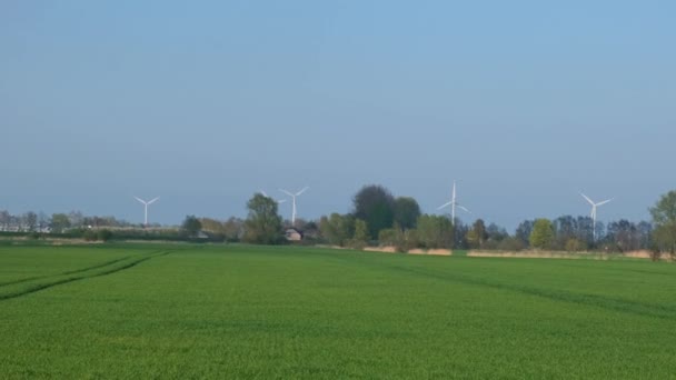 Large Wind Turbines Blades Field Sunset Blue Sky Wind Alternative — стоковое видео