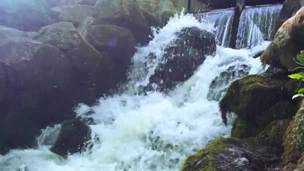 Waterval Waterval Olivia Openbaar Park Gdansk Polen Rivier Waterval Valt — Stockvideo