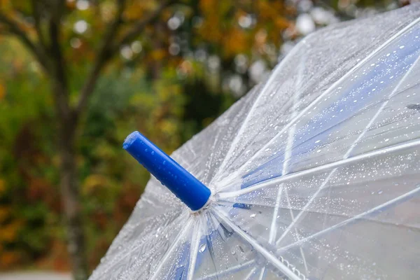 Feche Guarda Chuva Transparente Com Gotas Água Durante Chuva Com — Fotografia de Stock