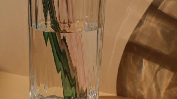 Verre Réutilisable Pailles Verre Avec Eau Sur Fond Neutre Beige — Video