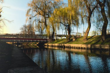Güneşli bahar mevsiminde şehir parkı. Nehir yansımaları, ağaçlar ve yeşil çimlerle dolu bir park. Yürüyüş ve açık hava eğlencesi için peyzaj alanı. Doğayla birlik. Doğa geçmişi Polonya, Pruszcz