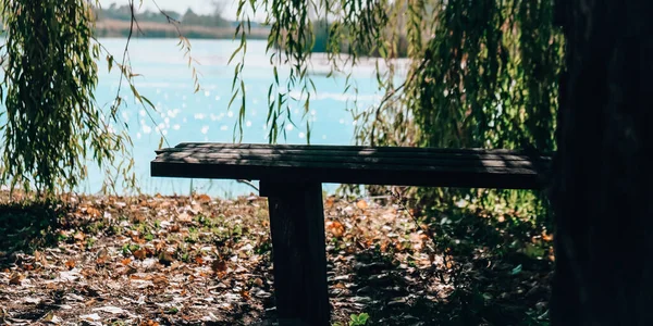 Banc Parc Forestier Sur Rive Lac Automne Climat Humeur Nature — Photo