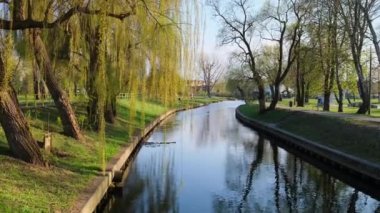 Güneşli bahar mevsiminde şehir parkı. Nehir yansımaları, ağaçlar ve yeşil çimlerle dolu bir park. Yürüyüş ve açık hava eğlencesi için peyzaj alanı. Doğayla birlik. Polonya doğası 4k