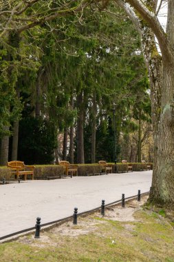 Sonbahar mevsiminde bulutlu bir günde parkta boş bir ahşap bank. Olivia Parkı, Gdansk Polonya 'da. Kenar mahalleleri manzaralı şehir parkı. Yol boyunca sokak lambaları olan şehir bahçesi