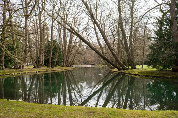 Beau Lac Printanier Forêt Nature Printemps Reflet Des Arbres Dans — Photo