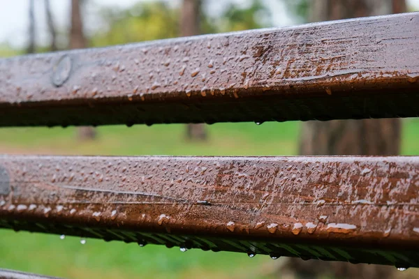 Wet bench in the park in the rain. Rainy weather. Wooden chair in the rain. Wet urban furniture. Rain drops on wooden bench. Park autumn concept