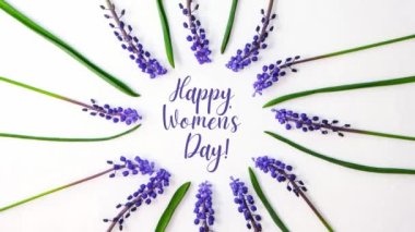 4k zoom in out HAPPY WOMENS DAY Postcard layout. Flat lay, top view. Blue hyacinths in row circle shape. Greeting card for holiday. Grape Hyacinth Muscari. Spring postcard
