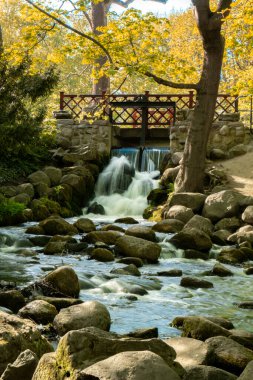 Waterfall cascade in Olivia public park Gdansk Poland. River waterfall falls from cliff and trees. Tourist attraction with small waterfall and clear water Long exposure Unity with nature