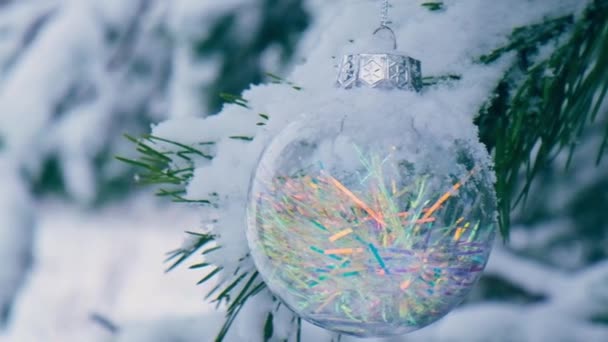 Průhledný Trendy Skleněný Vánoční Míč Zasněžených Větvích Jedlí Zimním Lese — Stock video