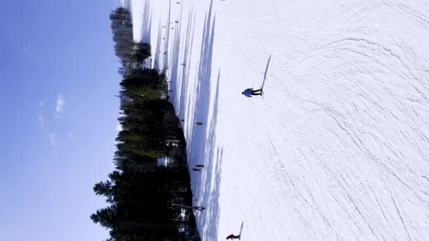 Vertical Footage Skiers Skiing Downhill Winter Resort Mountains Aerial Top — Vídeo de stock