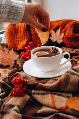 Sonbahar moda konsepti. Limonlu sıcak çay ve tarçınlı çubuklar kazak eşarbında. Kırmızı manikürlü bir kadın eli. Sonbahar yaprakları ve böğürtlen bileşimi hala hayatta. Bir bardak sıcak şarap. Çay zamanı. Neşeli ev atmosferi