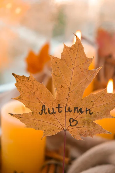 Fall maple leaf with text AUTUMN on Autumn season design concept. Candles on windowsill rainy weather. Warm Cozy hygge atmosphere Knitted sweater