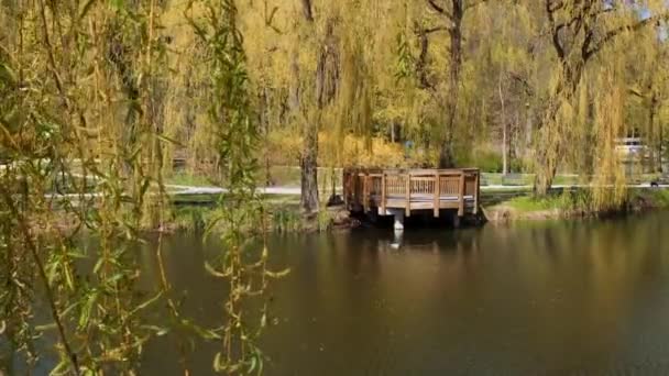 Beautiful Spring Alcove Lake Forest Nature Spring Reflection Trees Water — Vídeos de Stock