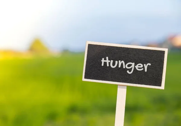 Wooden Information Label Sign Text Hunger Defocused Agriculture Field Message —  Fotos de Stock