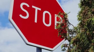 Red stop sign on metal pole on street. Road attention sign on cloudy background. Outdoors